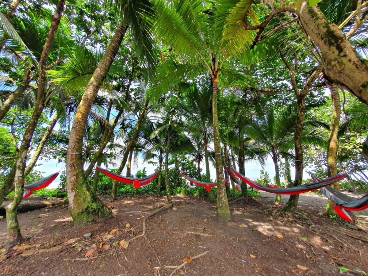 Hotel Caribbean View House Tortuguero Exterior foto