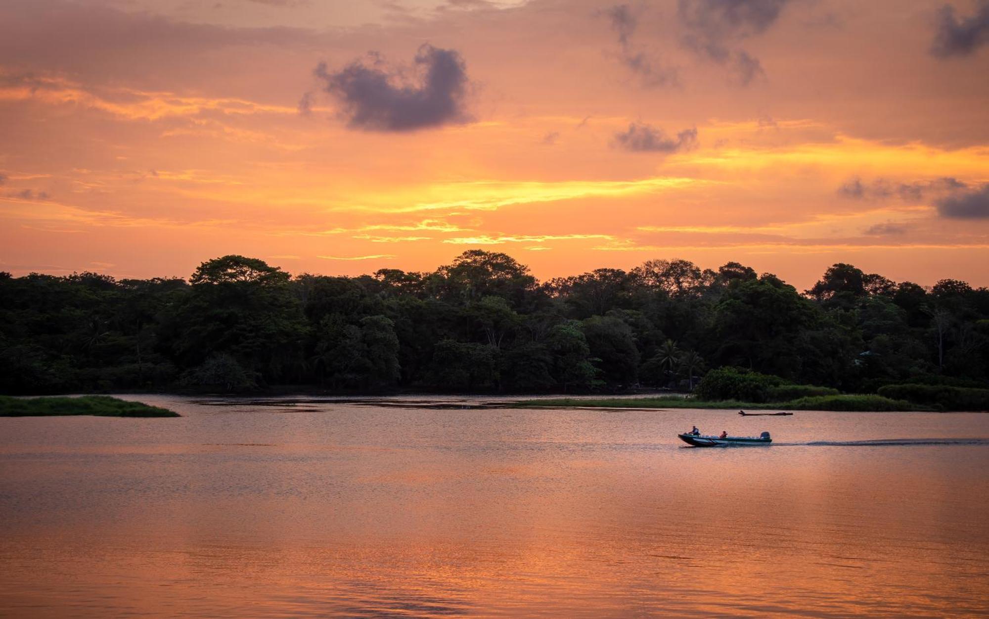 Hotel Caribbean View House Tortuguero Exterior foto