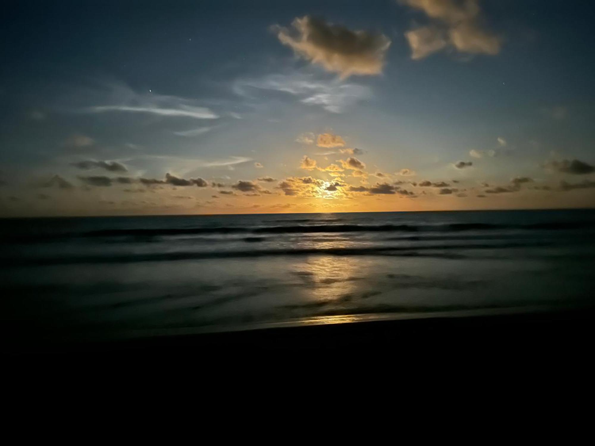 Hotel Caribbean View House Tortuguero Exterior foto