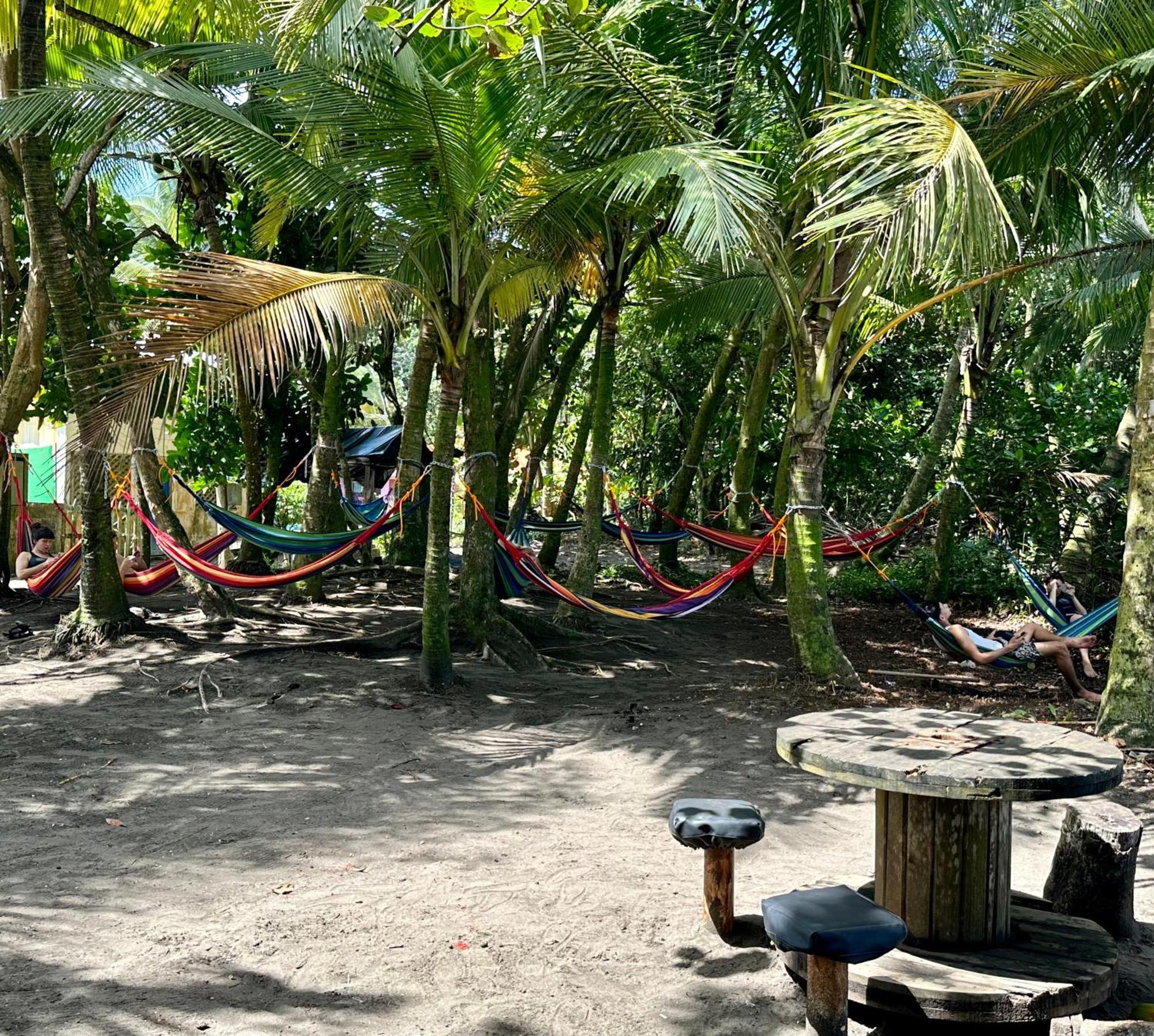 Hotel Caribbean View House Tortuguero Exterior foto