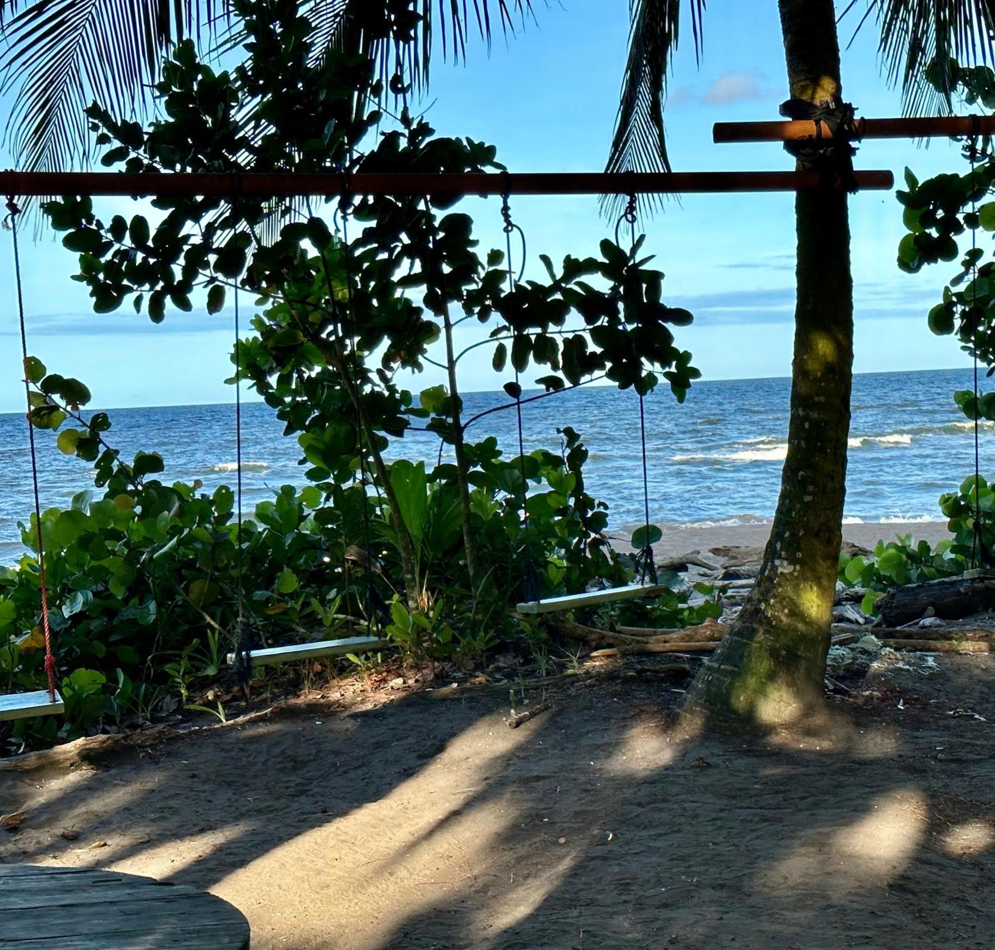 Hotel Caribbean View House Tortuguero Exterior foto