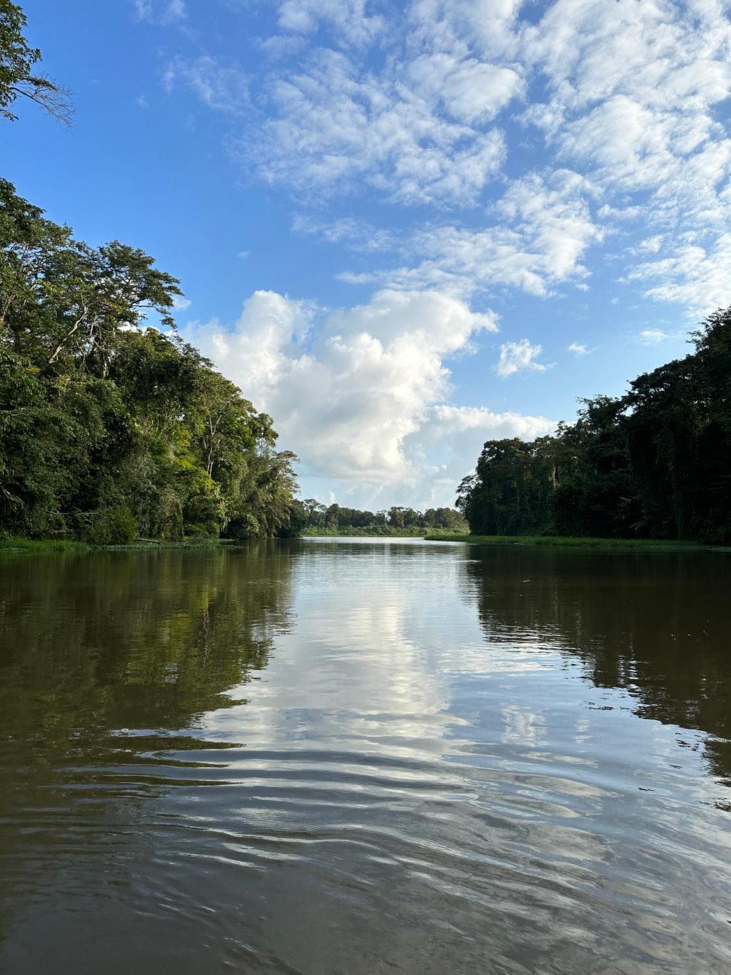 Hotel Caribbean View House Tortuguero Exterior foto