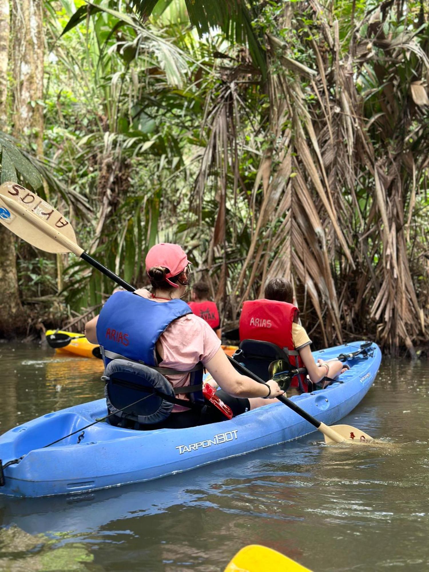 Hotel Caribbean View House Tortuguero Exterior foto