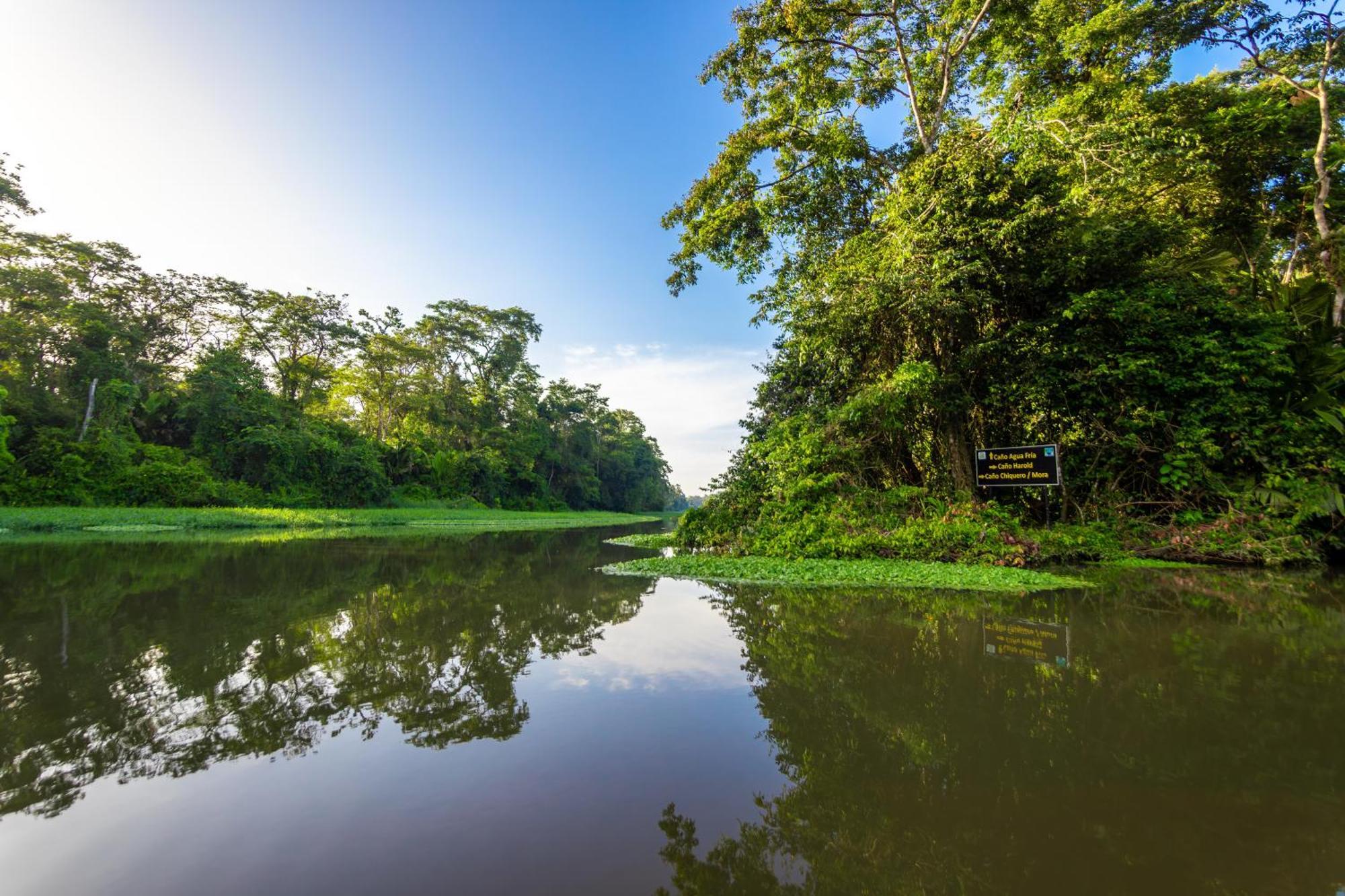 Hotel Caribbean View House Tortuguero Exterior foto